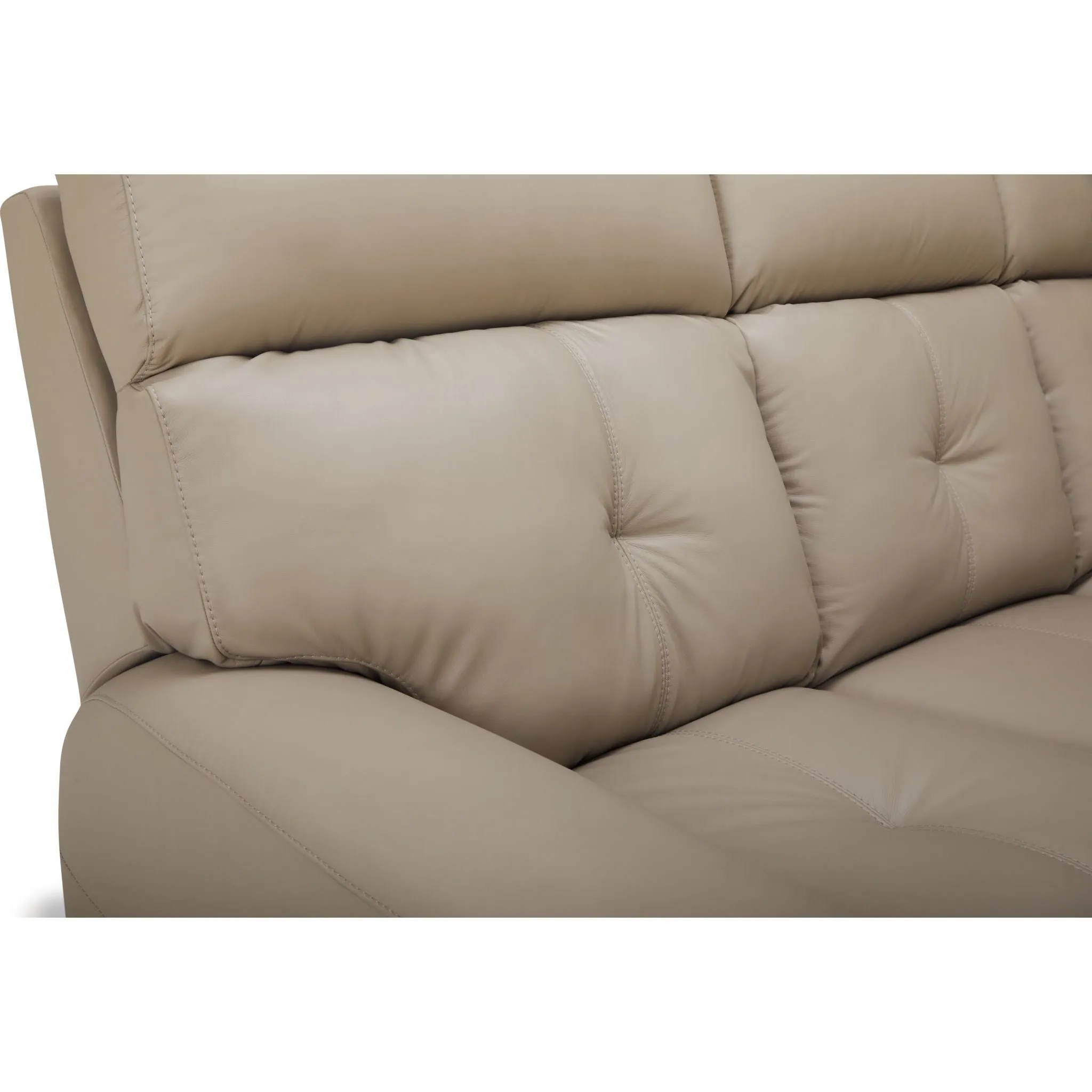 Aedon Power Reclining Sofa with Headrest and Lumbar - Bali Harvest