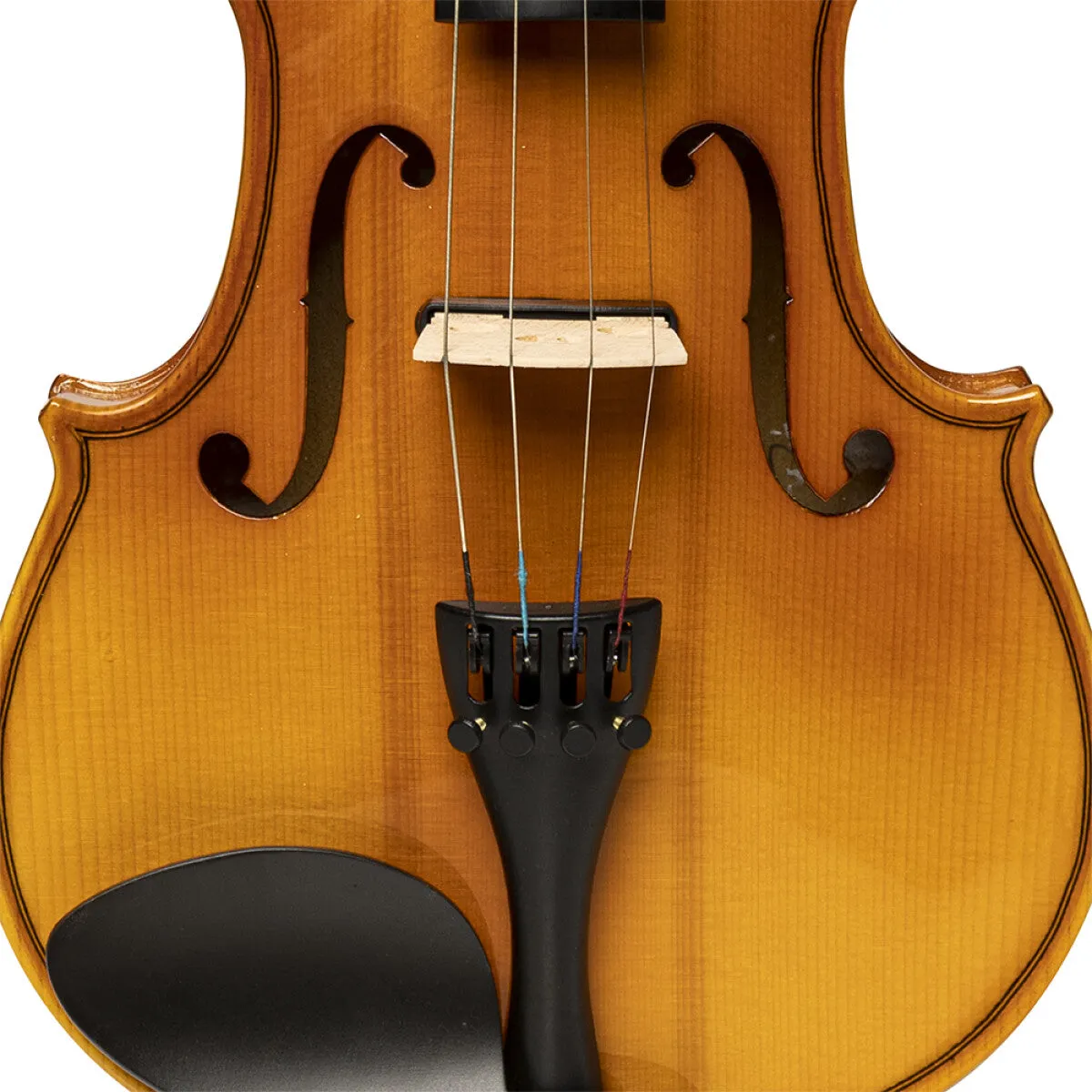 Stagg VN-4/4 ELEC EF 4/4 Solid Maple Acoustic-Electric Violin with Case