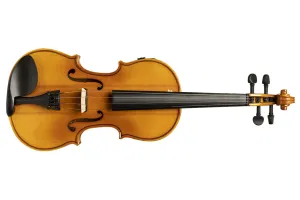 Stagg VN-4/4 ELEC EF 4/4 Solid Maple Acoustic-Electric Violin with Case